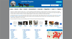 Desktop Screenshot of labradorpuppiesforsale.us