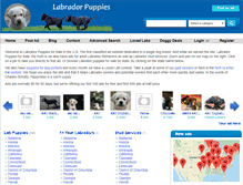 Tablet Screenshot of labradorpuppiesforsale.us